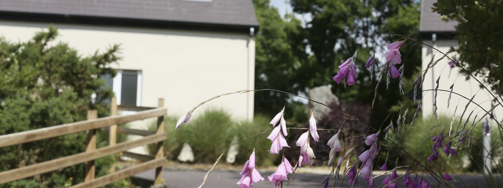 Country self catering lodges